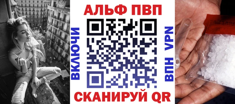 A PVP СК  Череповец 