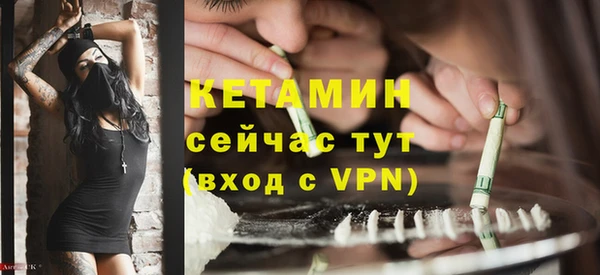 шишки Богородицк