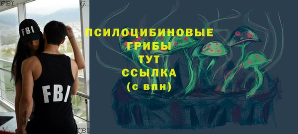 шишки Богородицк