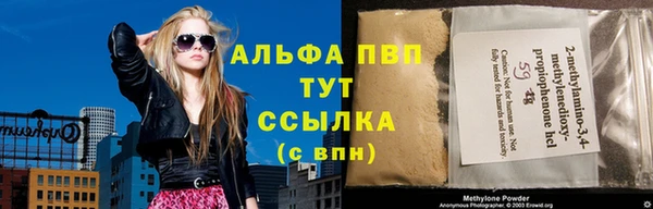 шишки Богородицк