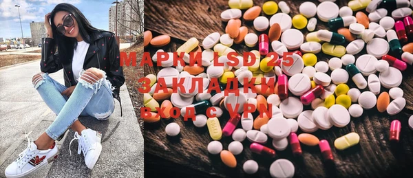 шишки Богородицк
