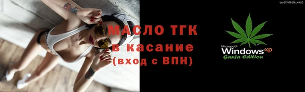 шишки Богородицк