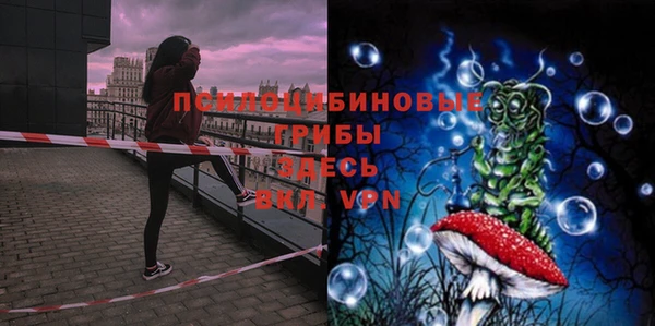 шишки Богородицк