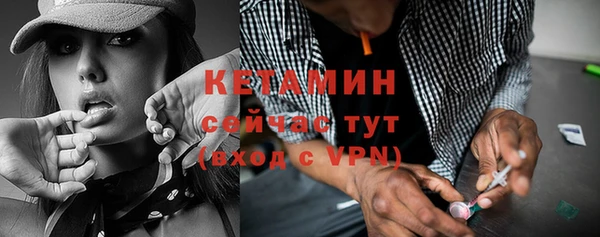 шишки Богородицк
