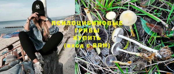 шишки Богородицк