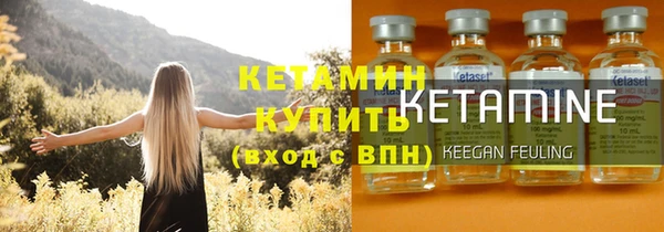 шишки Богородицк