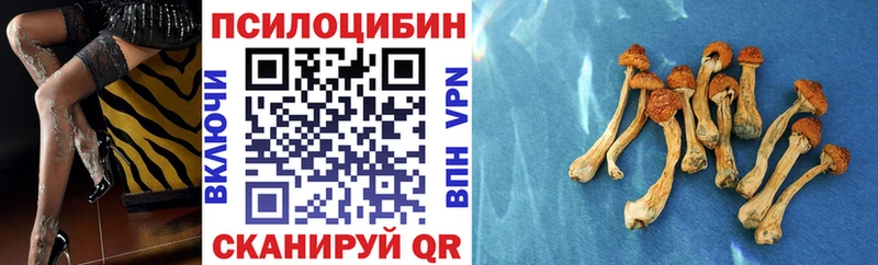 где купить наркоту  Череповец  Псилоцибиновые грибы мицелий 